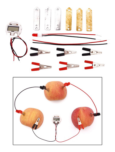 Kit De Experimentos Científicos Con Batería De Frutas