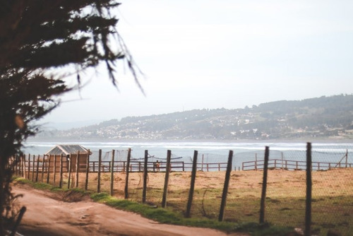 Pionero - Mirador Punta De Lobos
