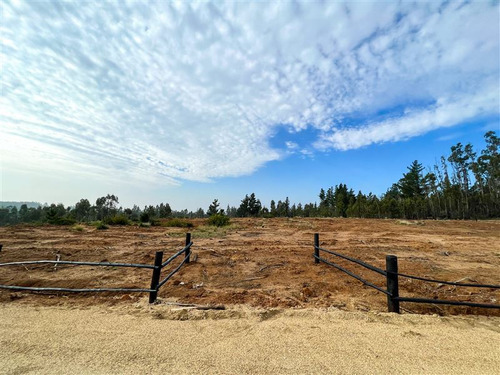 Proyecto Terrenos De 5.000 M2 En Venta - Matanzas