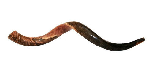Imagem 2 de 8 de Shofar De Chifre Antilope + Capa + Brindes - De Israel #j3
