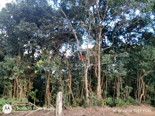 Imagem 7 de 29 de Chácara Com 3 Dormitórios À Venda, 1342 M² Por R$ 265.000,00 - Zona Rural - Munhoz/mg - Ch0155