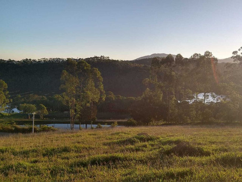 Imagem 12 de 14 de C08-lotes De 10000m² Sem Burocracia E Sem Consulta Spc/seras