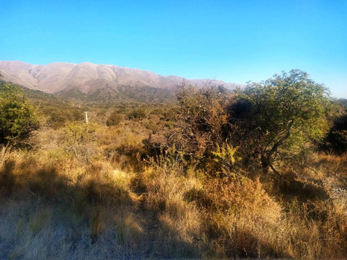 Imagen 5 de 6 de Terreno 800 M2 Parque Calaguala Venta Calaguala Cerro De Oro San Luis