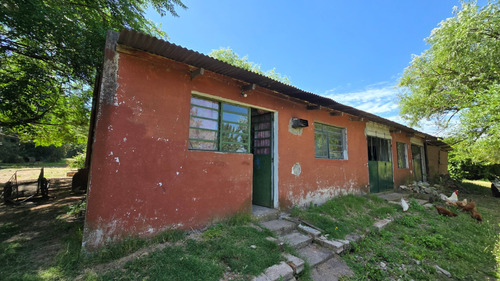 Venta Chacra 4 Dormitorios Colón Con Cochera