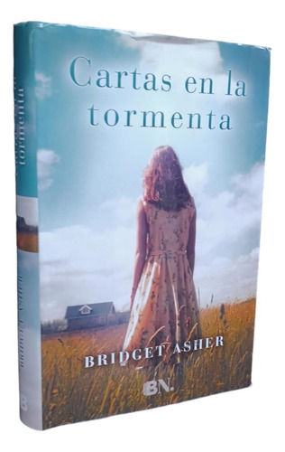 Cartas En La Tormenta - Bridget Asher, De Bridget Asher.