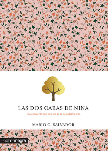 Libro Las Dos Caras De Nina - Salvador, Mario C.