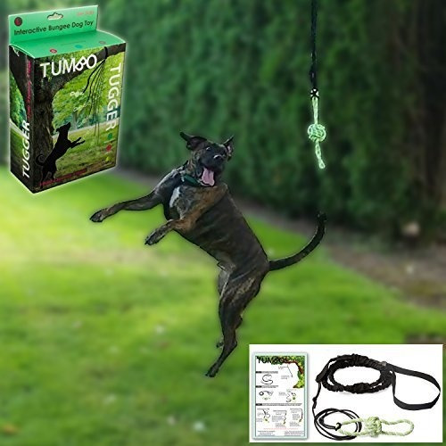 Tumbo Tugger Colgante De Juguete De Cuerda Para Columpio