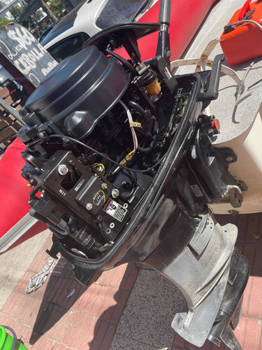 Imagen 3 de 3 de Semirrígido Marejada + Motor Mercury