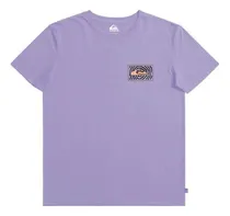 Comprar Remera Quiksilver Hombre Mc Fortuned Logo