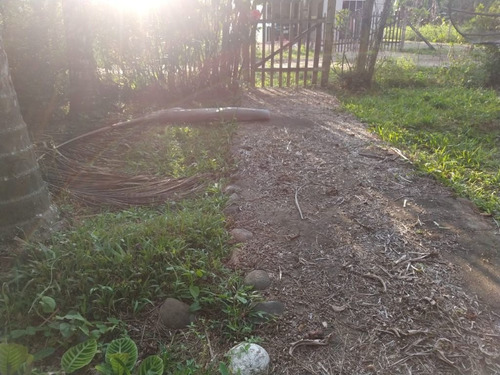 Imagem 7 de 15 de Charmosa Chácara Localizada Na Vila Das Palmeiras - Preço Imperdível - Ch0139