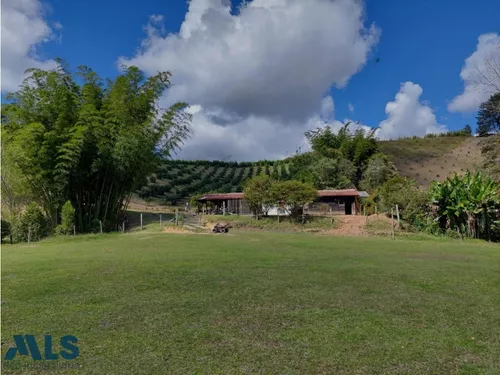 Grandiosa Finca Con Cultivos De Aguacate Hass(mls#247937)