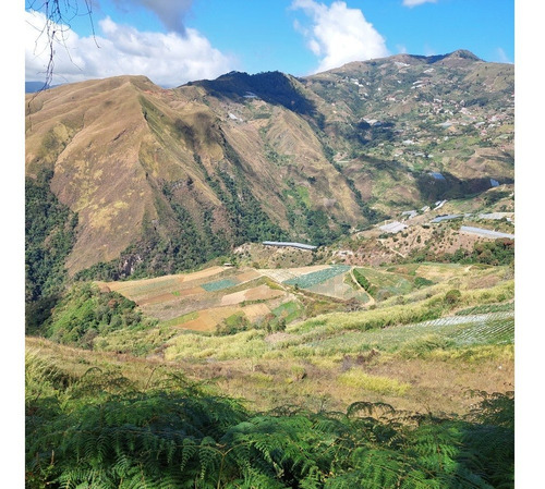 Imagen 6 de 21 de Best House Vende Terreno En El Jarillo Cerca De Quebrada Honda