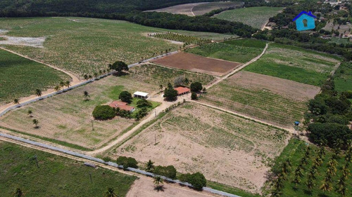 Imagem 6 de 30 de Granja Com 13 Hectares E Plantação Rentabilizando - Ch0065
