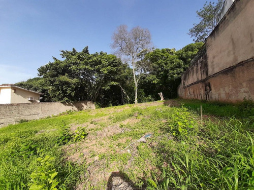 Imagen 3 de 7 de Terreno En Venta En Prebo Ii Cód 451765 María M López