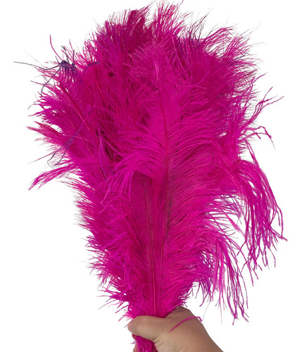 Plumas Avestruz Tipo Palito 100g Ideal P/ Trajes De Carnaval Cor Pink