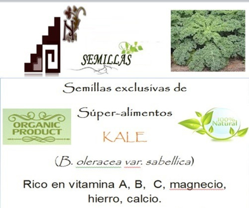 50 Semillas De Kale + Libro De Huertas Dig.