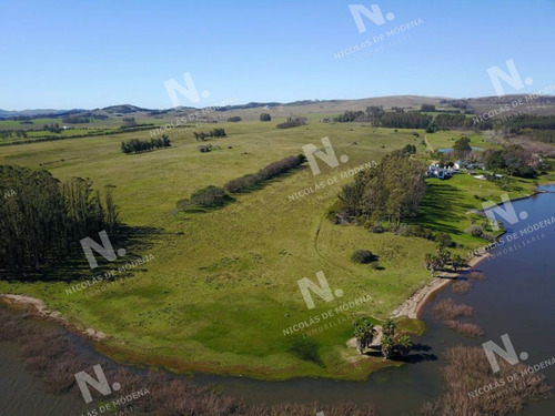 Imagen 4 de 14 de Chacra En Venta Laguna Del Sauce - Punta Ballena Laguna Del Sauce