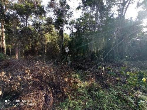 Imagem 3 de 10 de Lote De Chácara De 2.400 Mts Em Itanhaém Sp | Entrada 35 Mil