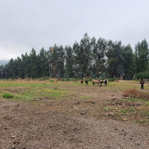 Excelente Terreno En Sector Roma San Fernando