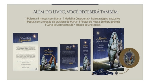 Box Caminhando Com Maria Do Livro 9 Meses Com Maria
