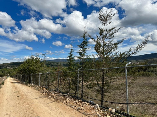 Imagen 4 de 15 de Venta De Terreno En Huasca De Ocampo