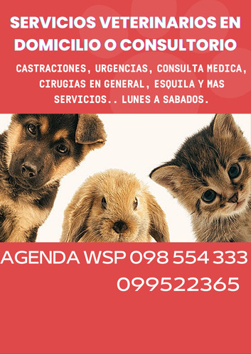 Imagen 1 de 7 de Castraciones Económicas Perros/as, Gatos/as Y Conejos