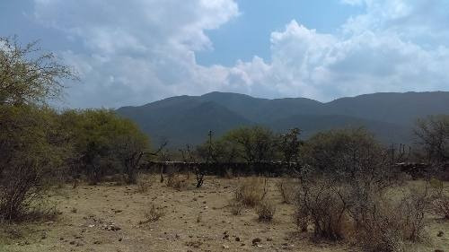 Imagen 7 de 13 de Macrolote En Venta Para Desarrolladores En Tequisquiapan, Querétaro.