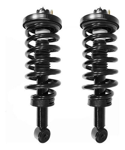 Ford Expedition Montaje Rapido Complete Struts Trasera Par