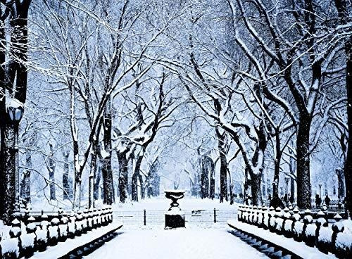 Postales Central Park New York Christmas Cards Juego En Caja