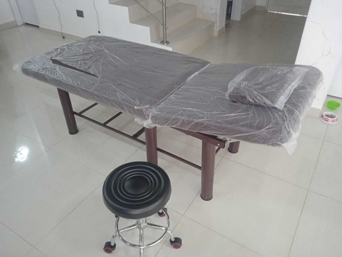 Imagen 1 de 8 de Camilla Para Masaje, Fisioterapia, Spa