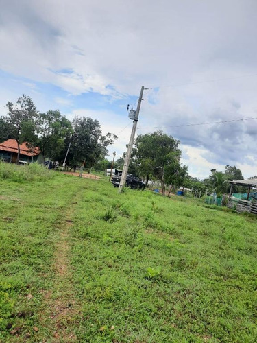 Imagem 7 de 14 de Sítio 25 Hectares - 0034