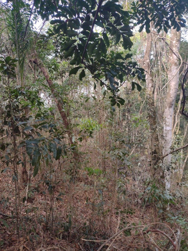 Imagem 9 de 14 de D20- Lotes Em Santa Isabel 1.000m2 Apenas 60mil A Vista