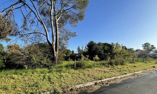 Imagen 4 de 16 de Venta Terreno 607 M2 Gral Pacheco Tigre