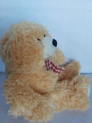 Peluche Oso