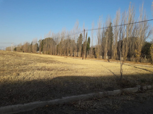 Imagen 5 de 6 de Venta Lote- A 100 Mtrs De La Rp A74...muy Buena Ubicación.