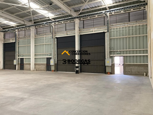 Arriendo Bodega Nueva De 600 M2 Sector Lo Espejo/ruta 5