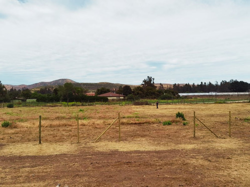 Arriendo Terreno 4000 M2 San Francisco De Limache