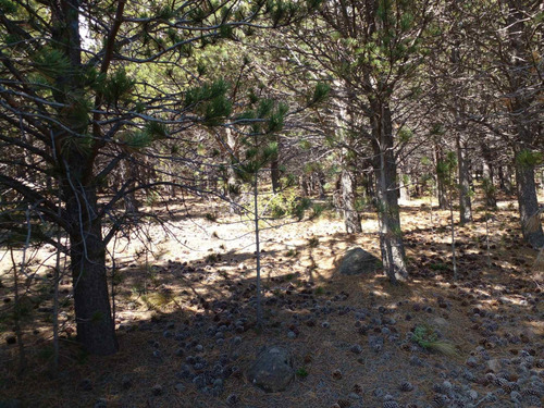 Imagen 9 de 10 de Lote En Venta ¨el Desafio¨