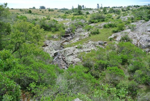 Quinta | Ruta 12 Y 5kms De Camino Vecinal