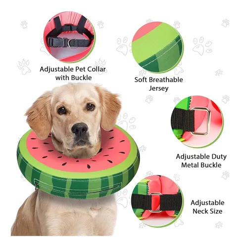 Collar De Cono De Perro Para Perros Pequeños Medianos Grande