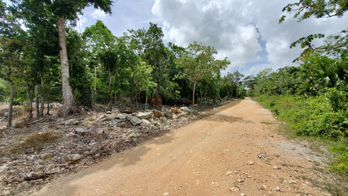 Terreno En Playa Del Carmen Titulado Con 10 Hectareas A Un Lado De Parque Xenotes.