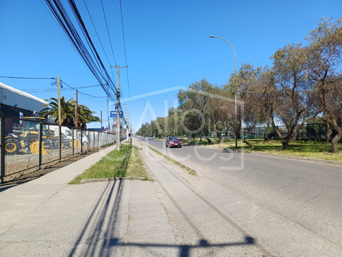Bodega En Cruce Varoli Talca