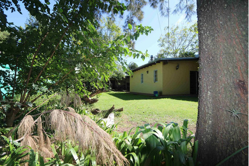 Imagen 3 de 30 de Venta Casa Quinta Virrey Del Pino Extenso Lote. Si Algo Nos Dejó La Pandemia Es La Necesidad De Vivir Con Espacio, Naturaleza Y Disfrutando De La Familia. Un Entorno Ideal Para Tu Gente. Inmobiliaria