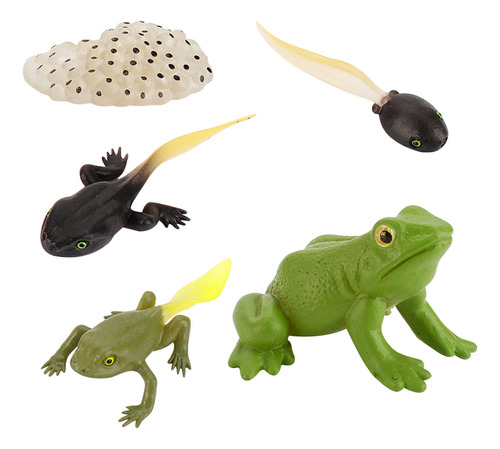 Figura De Insecto Life Cycle Plastic Brood To Period, 5 Piez
