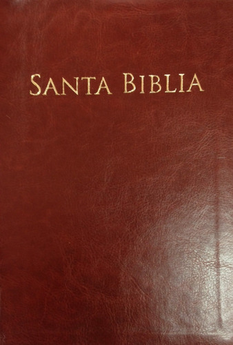 Biblia Reina Valera 1960 Letra Grande Piel Italiana Café