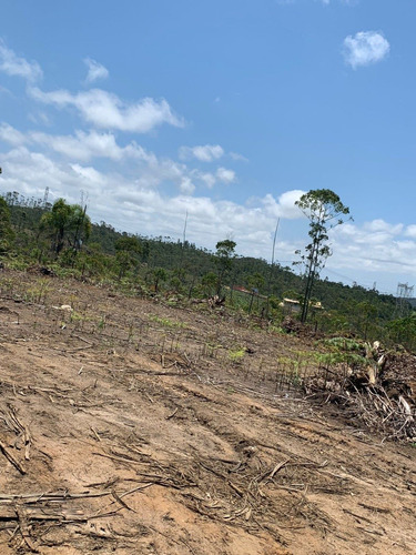 Imagem 5 de 14 de 08 Terrenos 1000m² Em Mogi