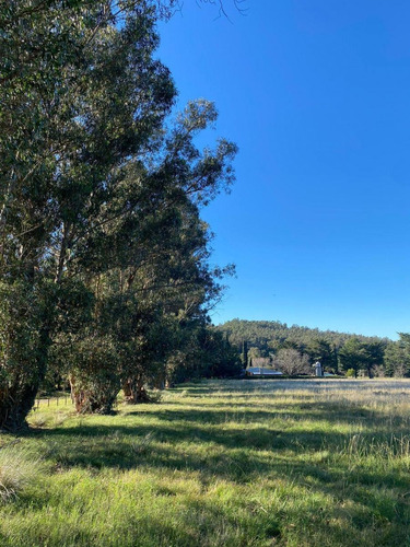 Lote De 18mil Metros Para Proyecto Turístico Zona Rancho De Popy Tandil