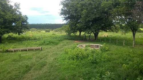 Imagem 29 de 30 de Fazenda De Gado E Graõ Com 455 Hectares Curvelo - 36426