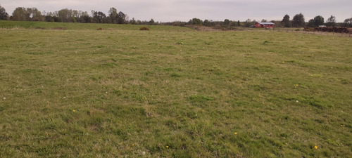 Imagen 6 de 11 de Predio Agrícola 1,5 Ha En Quema Del Buey A 38 Km De Osorno