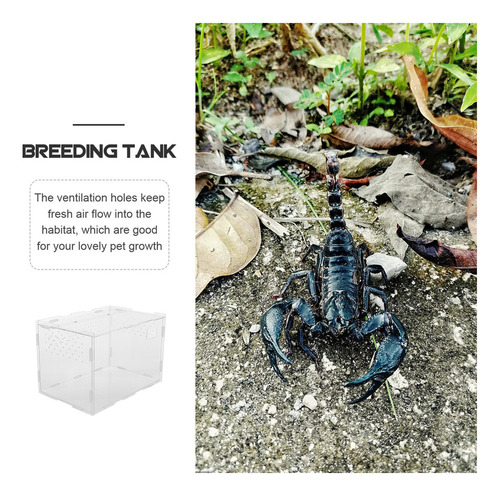 Práctica Caja De Alimentación Para Reptiles, Vitrina Para La